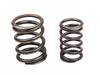 Porsche Valve Spring Set
