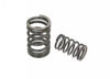 Valve Spring Set