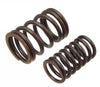 Porsche Valve Spring Set - Inner And Outer